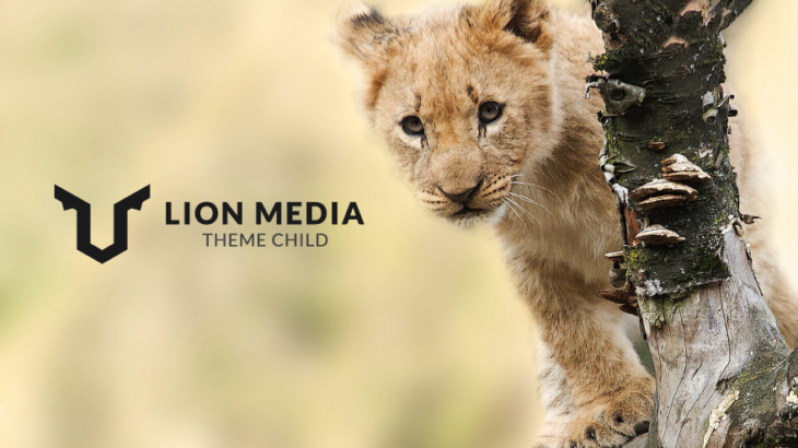 LION MEDIA
